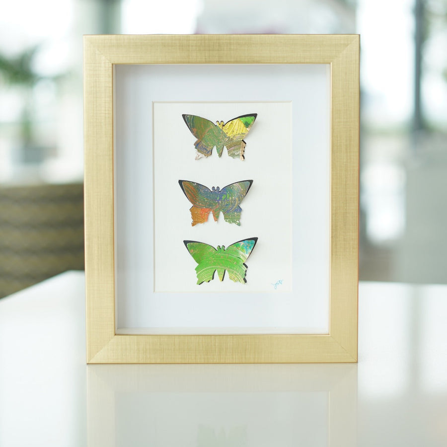 Butterflies in Shadowbox Frame
